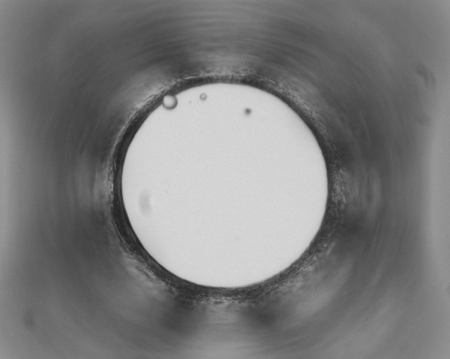 X0000112470632200908171159