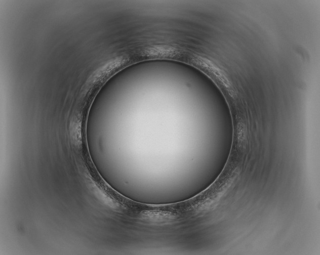 X0000112470633200908171159