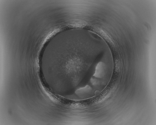 X0000112470634200908171159