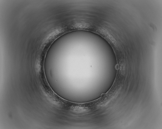 X0000112470635200908171159