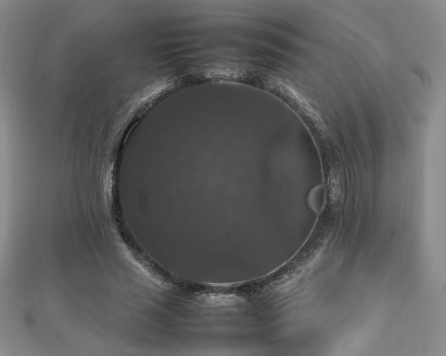 X0000112470637200908171159