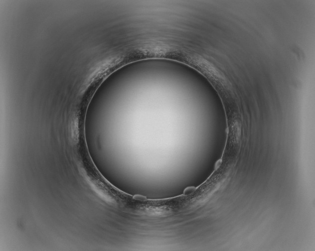 X0000112470638200908171159