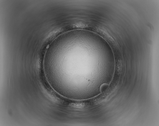 X0000112470639200908171159