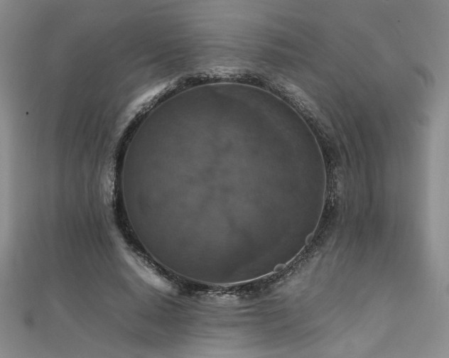 X0000112470640200908171159