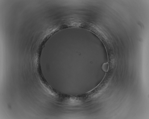 X0000112470641200908171159