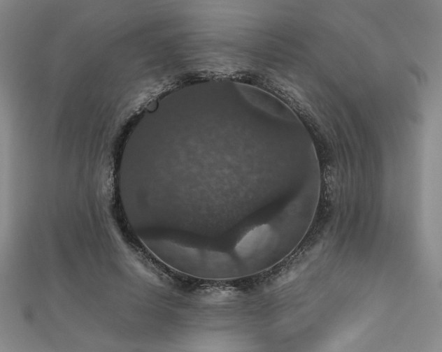 X0000112470642200908171159