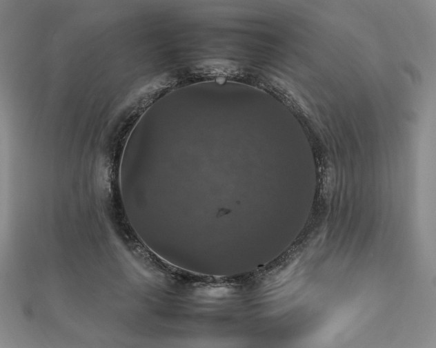 X0000112470643200908171159