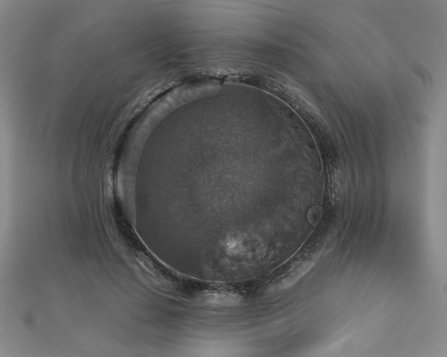 X0000112470644200908171159