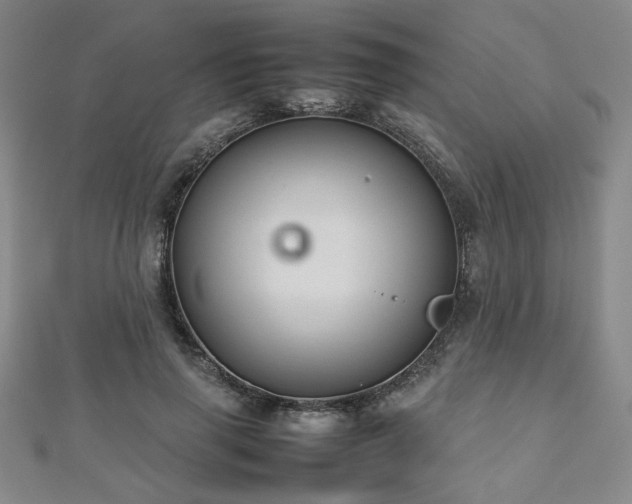 X0000112470645200908171159