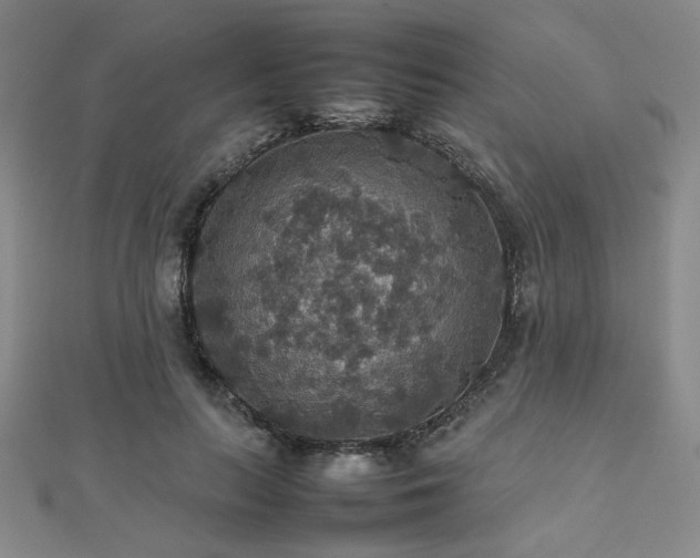 X0000112470647200908171159