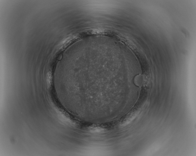 X0000112470648200908171159