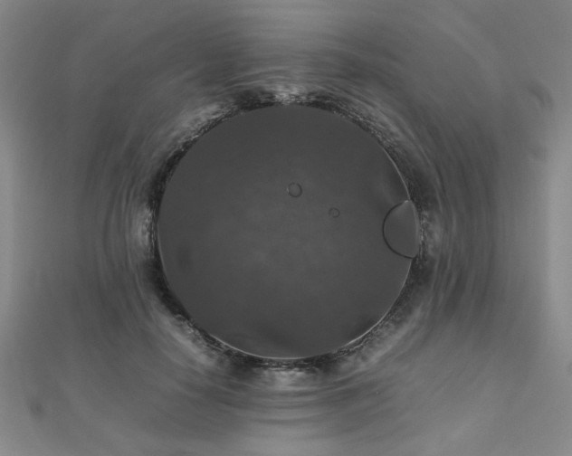 X0000112470650200908171159