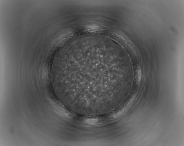 X0000112470653200908171159