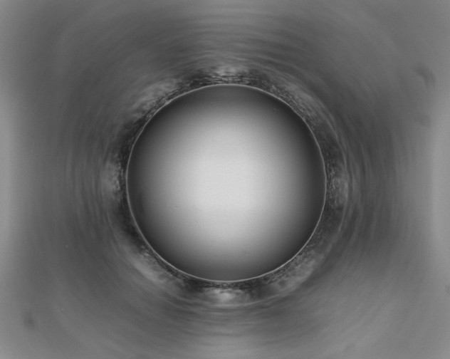 X0000112470654200908171159