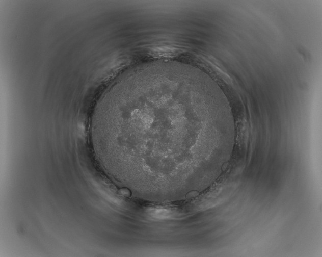 X0000112470655200908171159