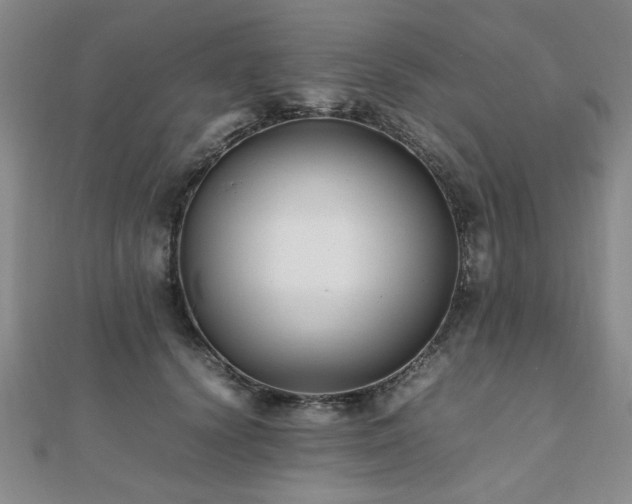 X0000112470656200908171159