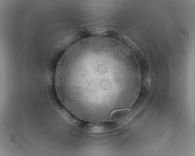 X0000112470658200908171159