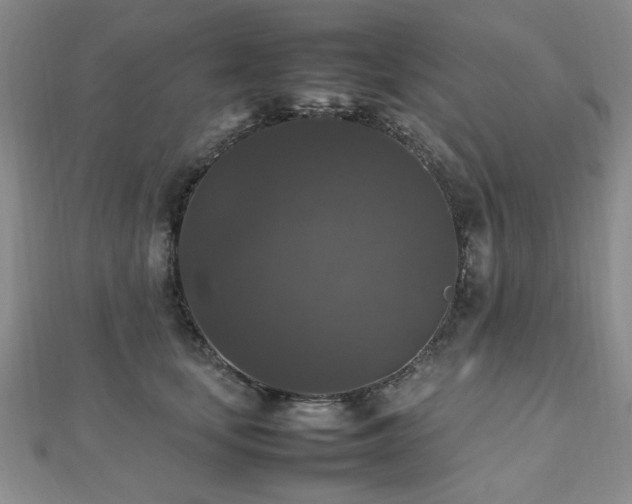 X0000112470659200908171159