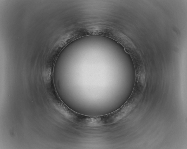 X0000112470660200908171159