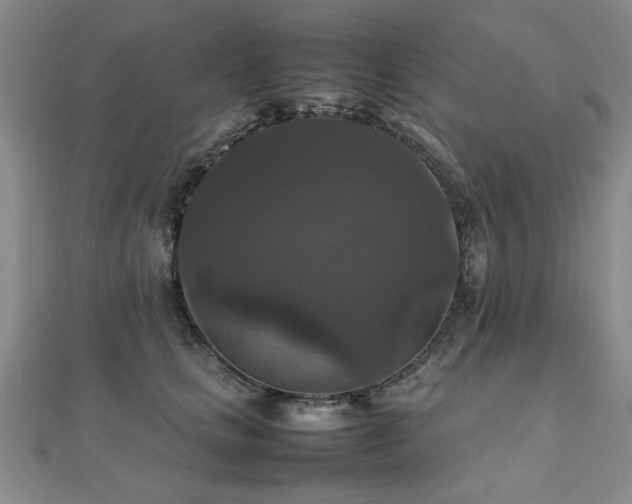 X0000112470661200908171159