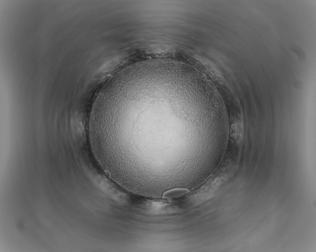 X0000112470662200908171159