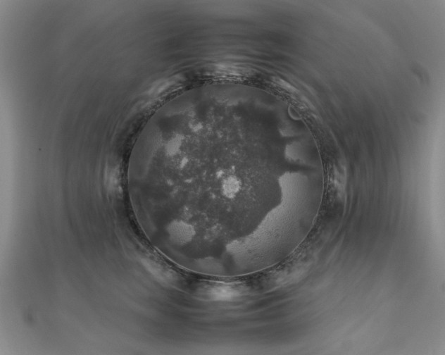 X0000112470663200908171159