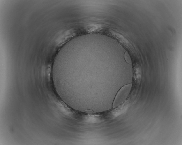 X0000112470664200908171159