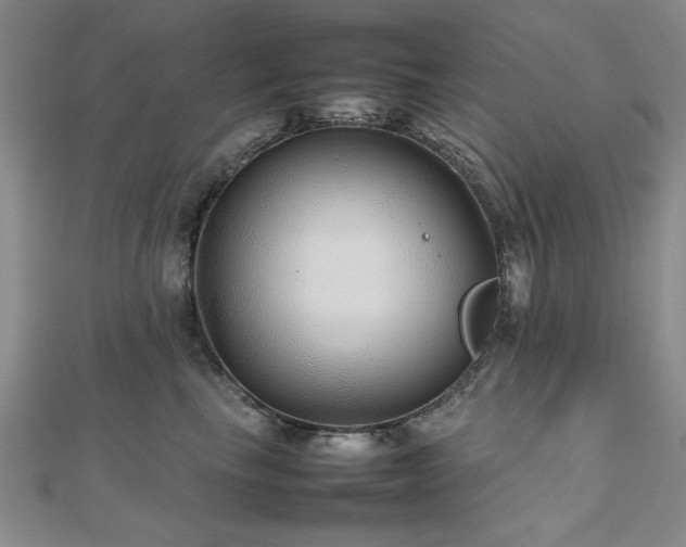 X0000112470665200908171159