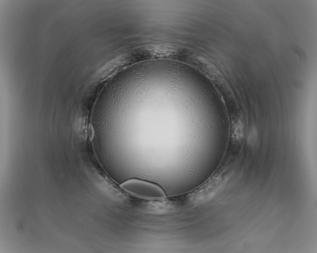 X0000112470666200908171159