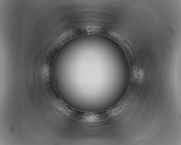 X0000112470667200908171159