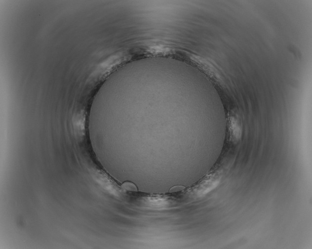 X0000112470668200908171159