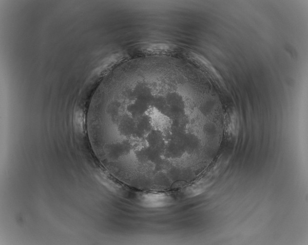 X0000112470669200908171159