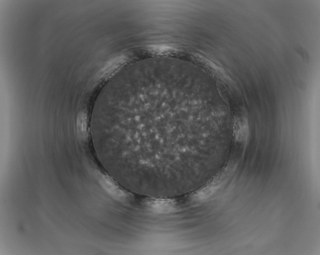 X0000112470670200908171159