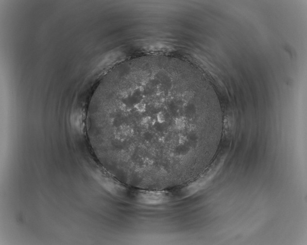 X0000112470671200908171159