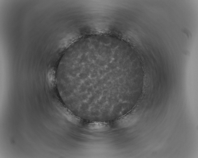 X0000112470672200908171159