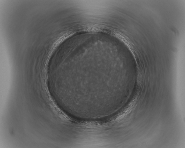 X0000112470673200908171159