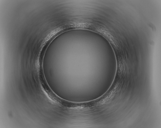 X0000112470674200908171159