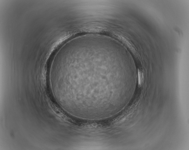 X0000112470675200908171159