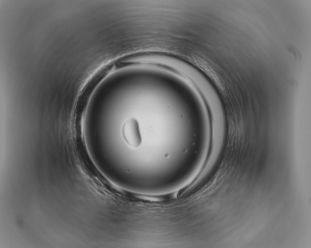 X0000112470676200908171159