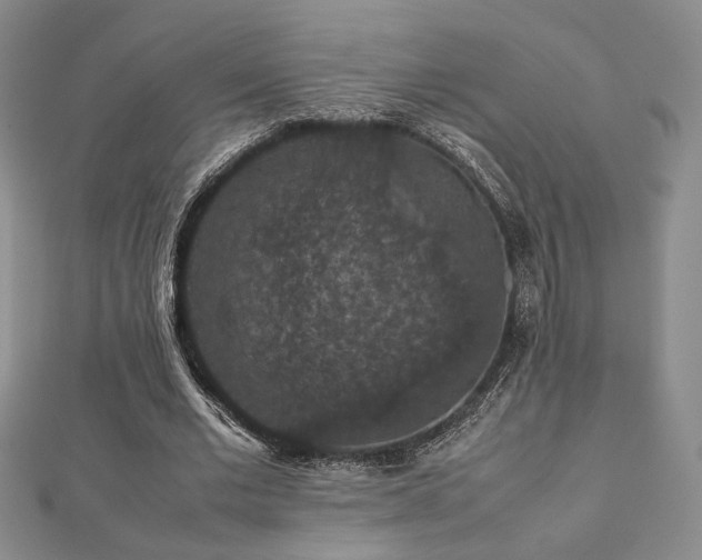 X0000112470677200908171159