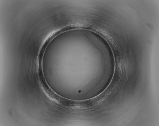 X0000112470678200908171159