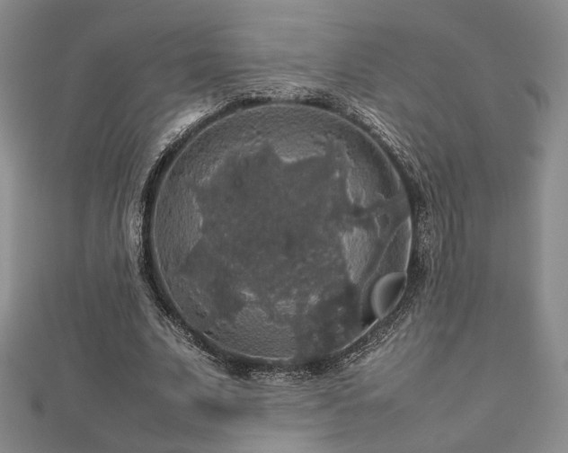 X0000112470679200908171159