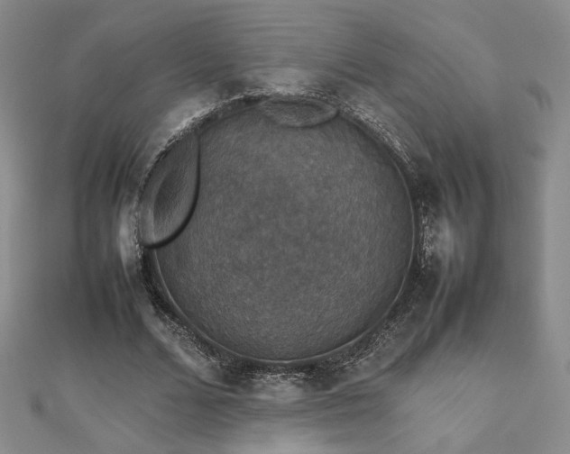 X0000112470680200908171159