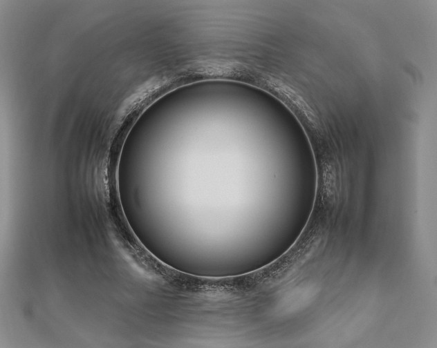 X0000112470682200908171159