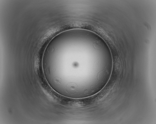 X0000112470683200908171159