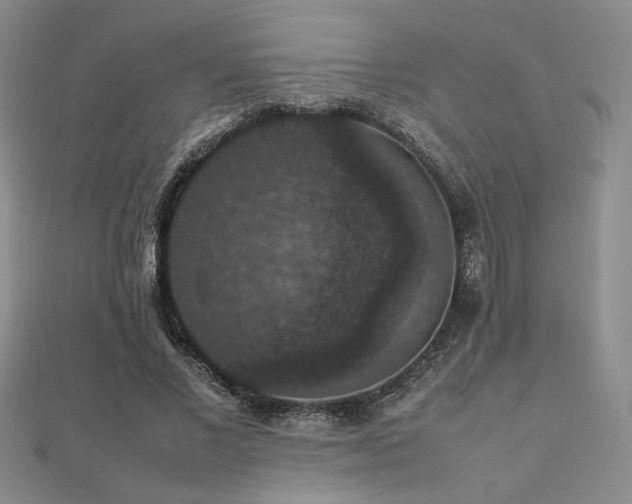 X0000112470685200908171158