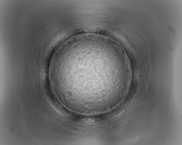 X0000112470687200908171158