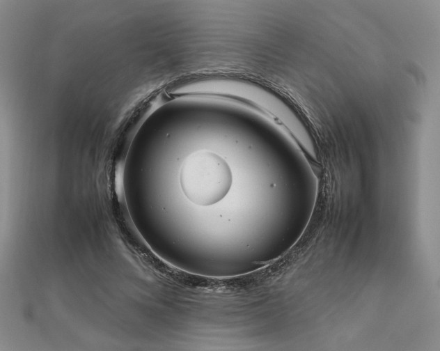 X0000112470688200908171158