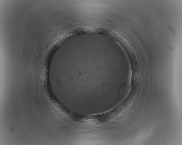 X0000112470689200908171158