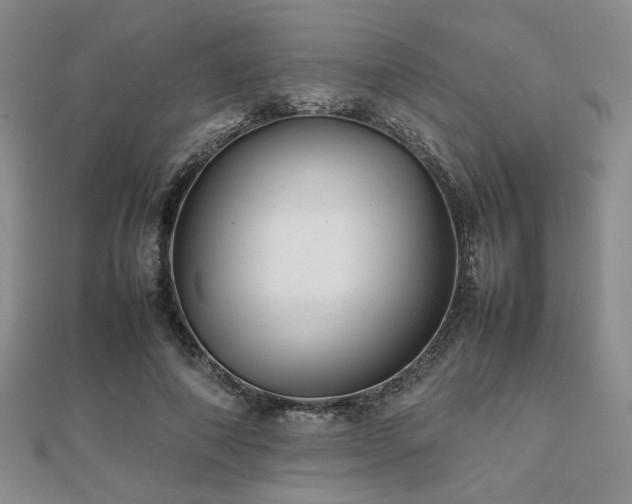 X0000112470690200908171158